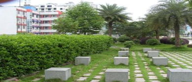 工廠綠化施工與養(yǎng)護(hù)服務(wù) 打造綠色生態(tài)工業(yè)環(huán)境