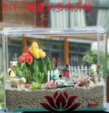 上海清繪園藝養(yǎng)護(hù)服務(wù) 以專業(yè)匠心，守護(hù)城市綠意之美